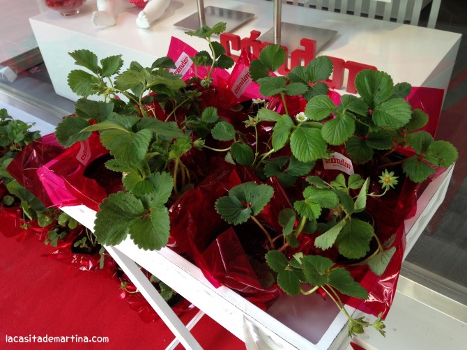 Tienda Cóndor Moda Infantil, Blog de Moda Infantil, La casita de Martina, Carolina Simó, Kids Fashion