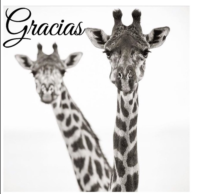 Blog de moda infanti, La casita de Martina, Kids Fashion, Kids Wear Blog de moda infanti, La casita de Martina, Kids Fashion, Kids Wear